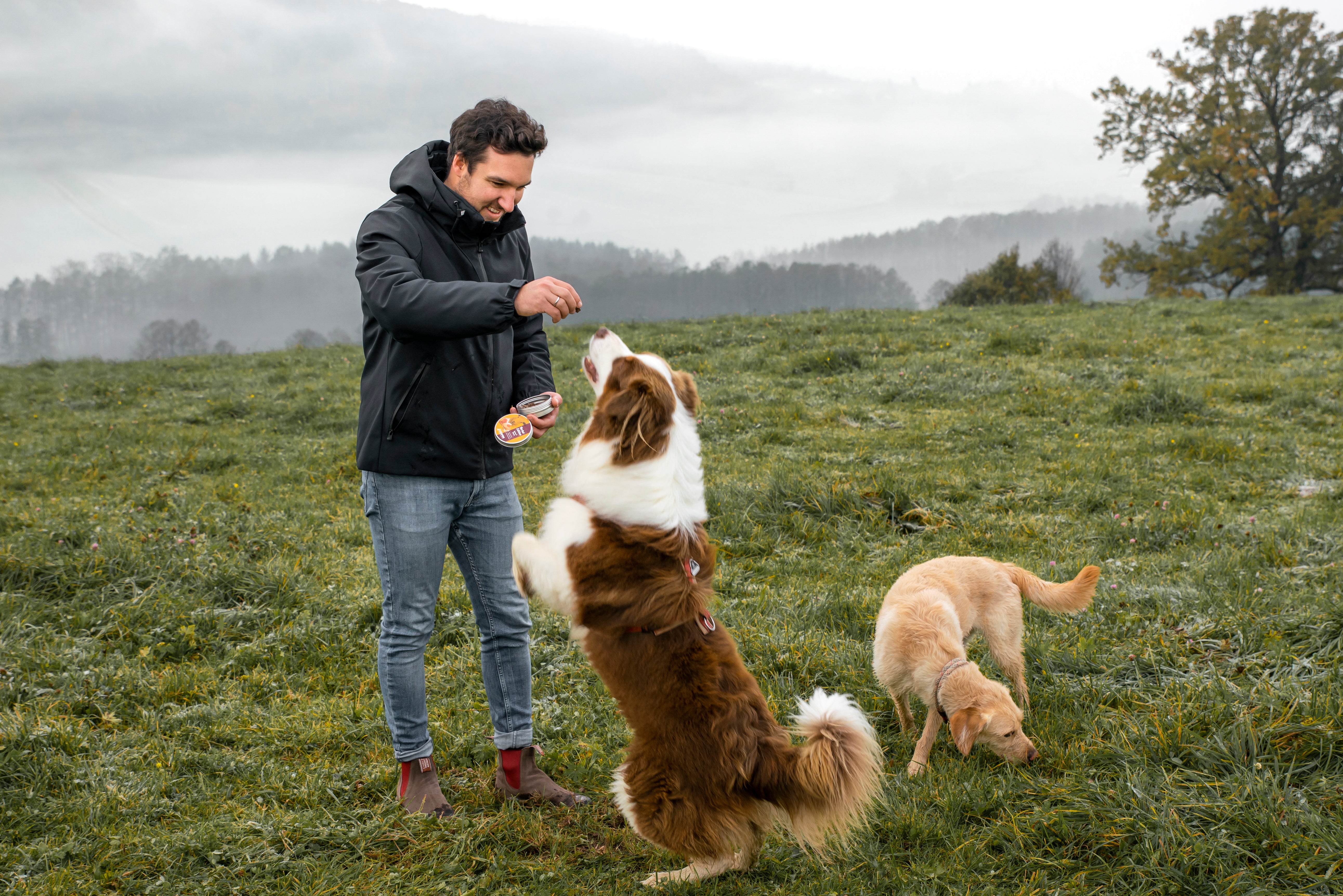 Unser Hunde Sortiment