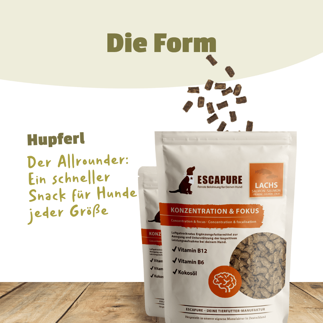 Konzentration & Fokus