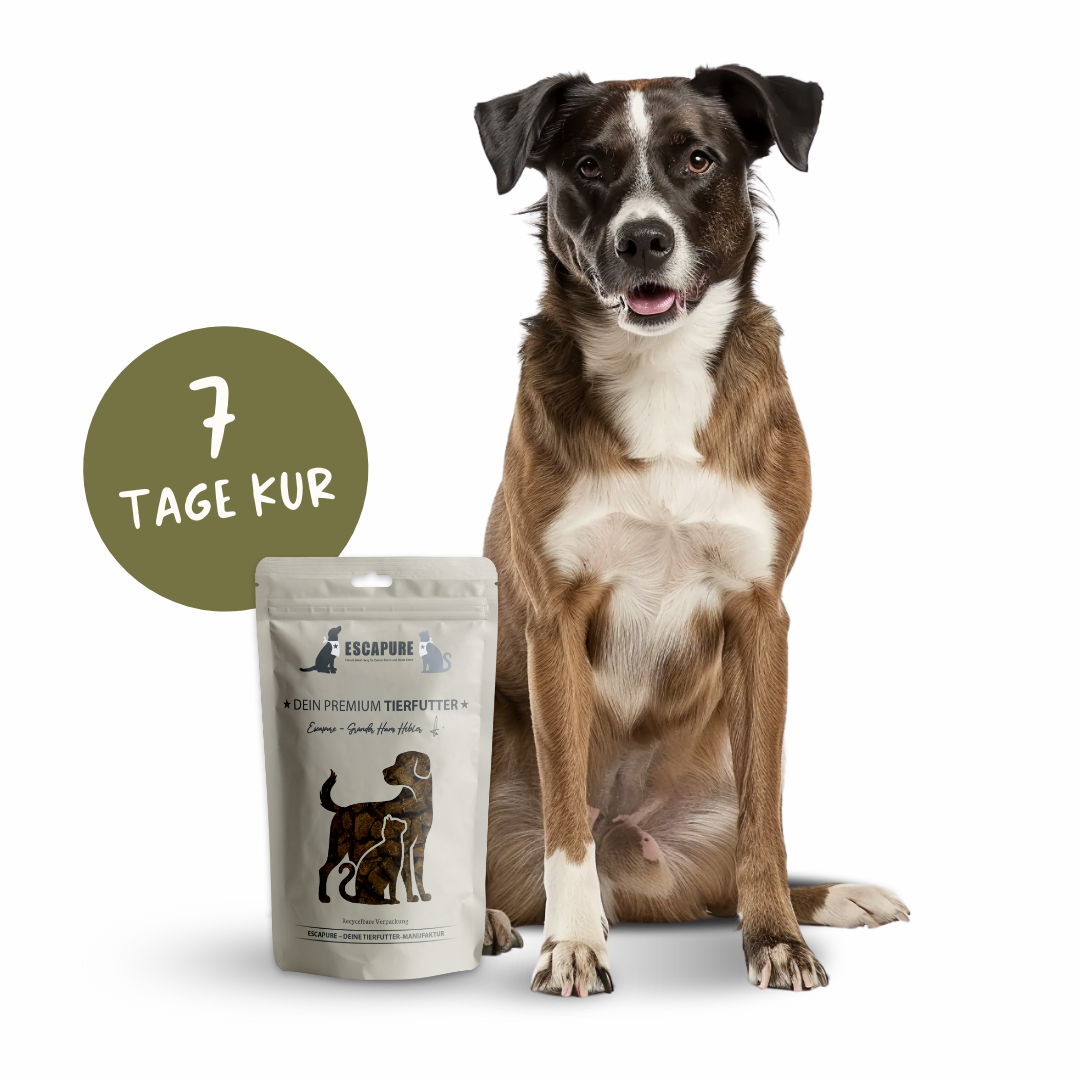 7-Tage Kur: Atemfrische