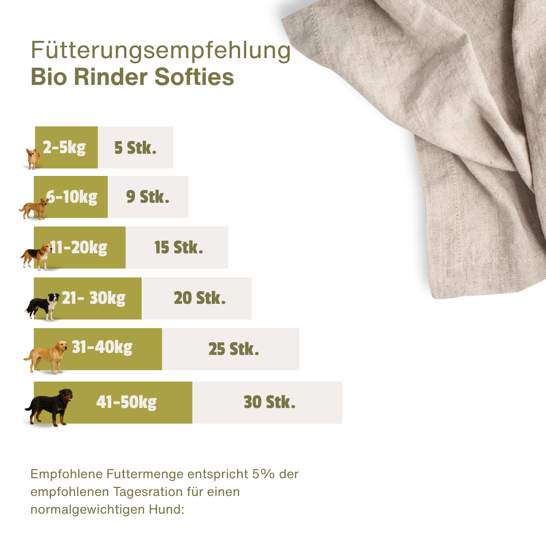 BIO Rinder Snack Soft