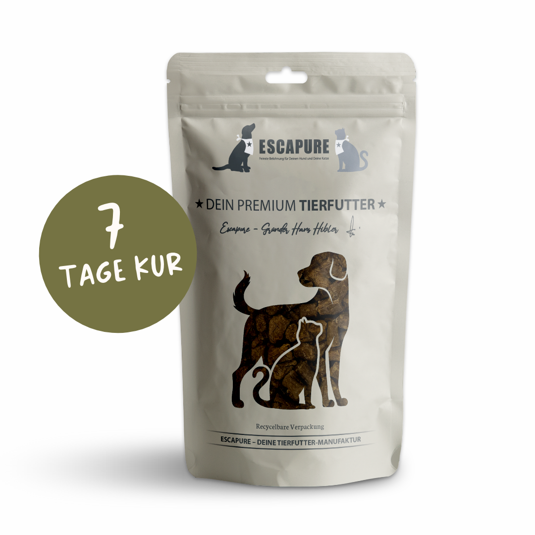 7-Tage Kur: Dental Sticks