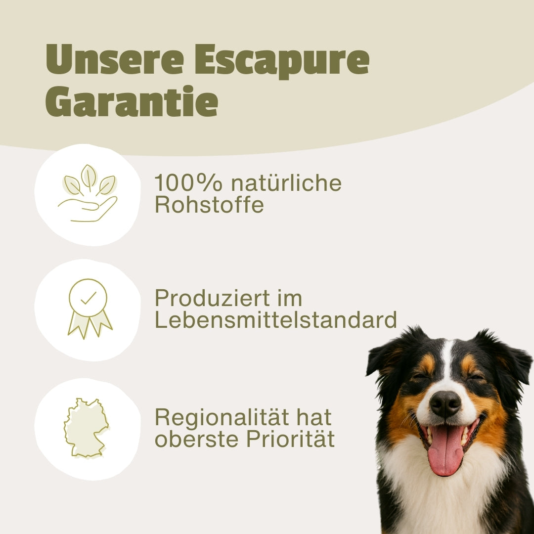 Dein Snack Testpaket