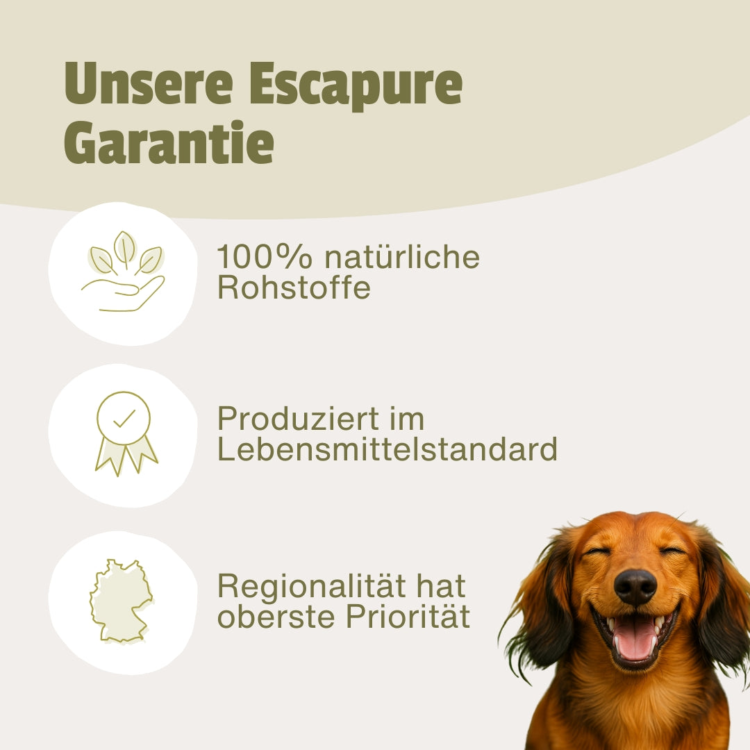 Maul & Magen Balance