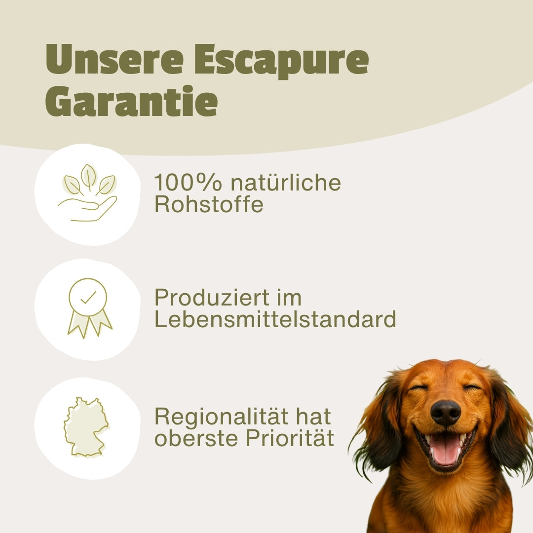 Dein Trockenfutter Testpaket