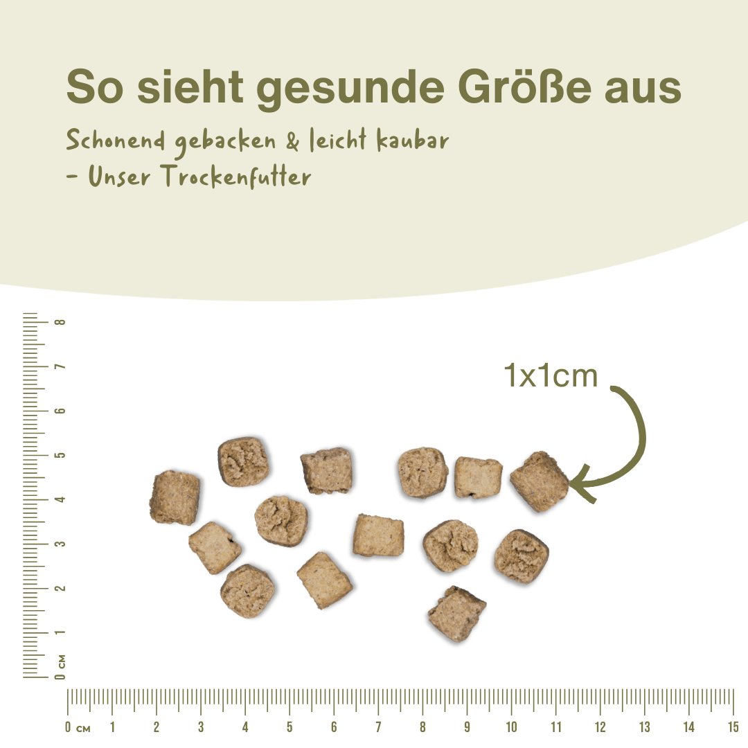 Rind Premium Trockenfutter