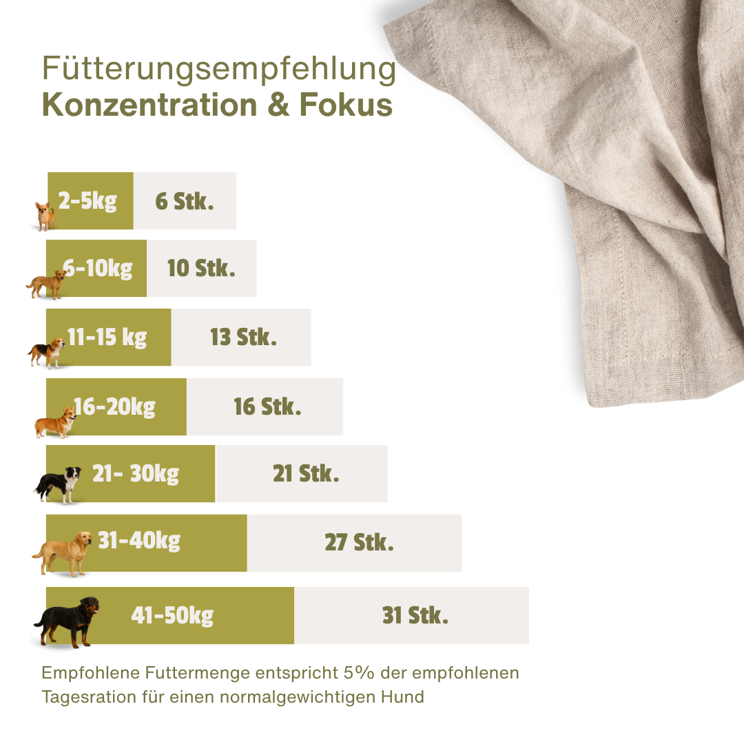 Konzentration & Fokus