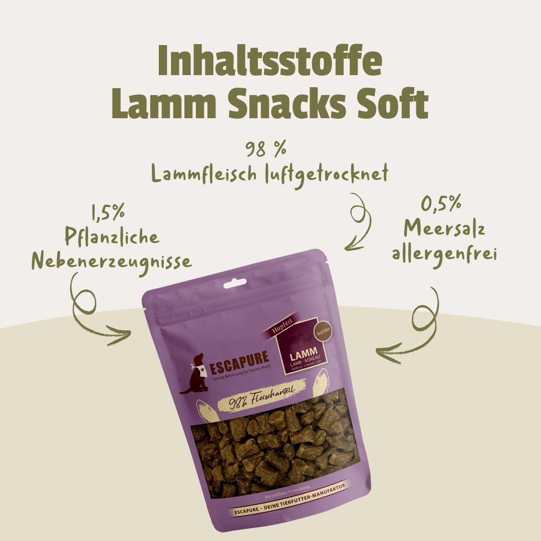 Testpaket Lamm