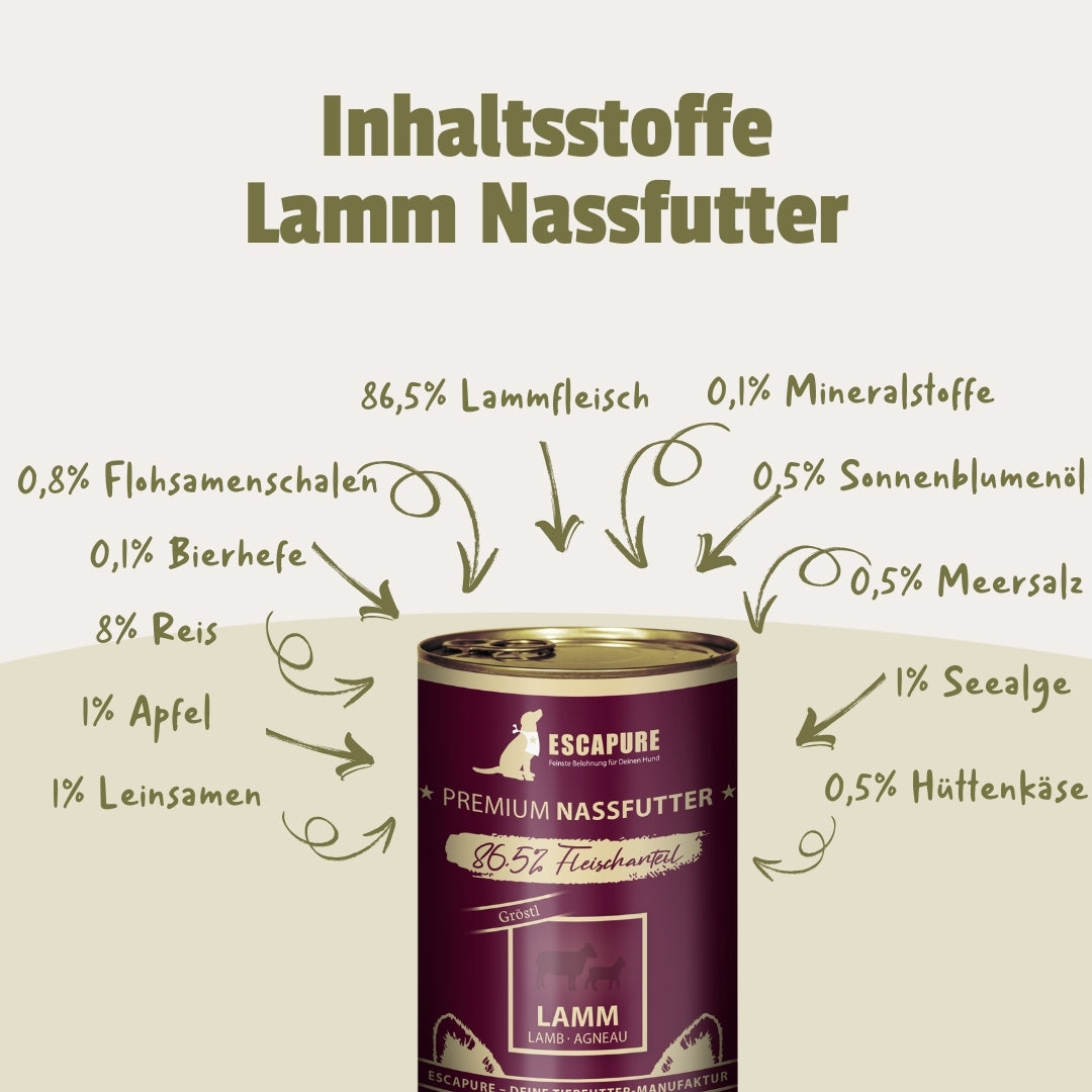 Testpaket Lamm