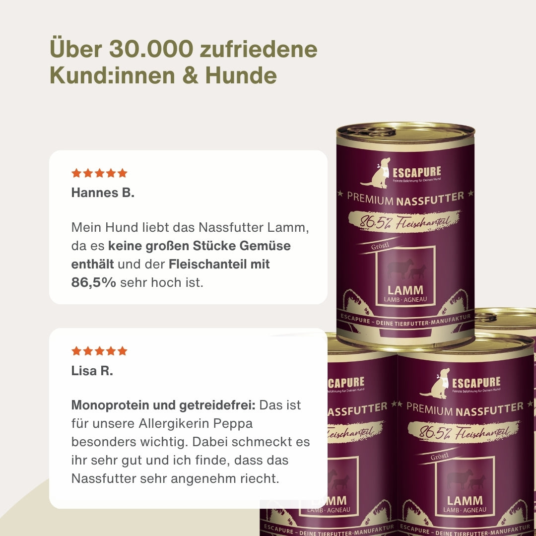 Testpaket Lamm