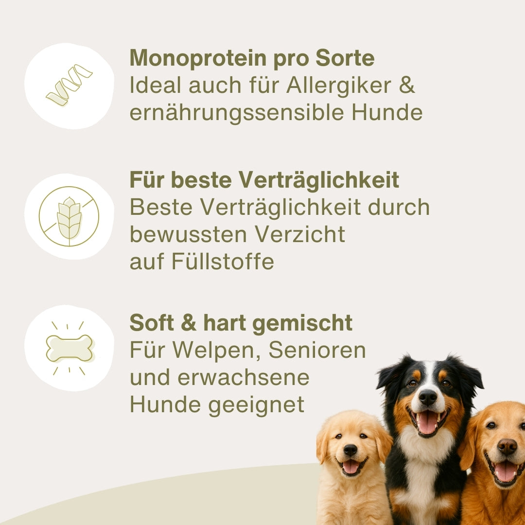 Dein Snack Testpaket