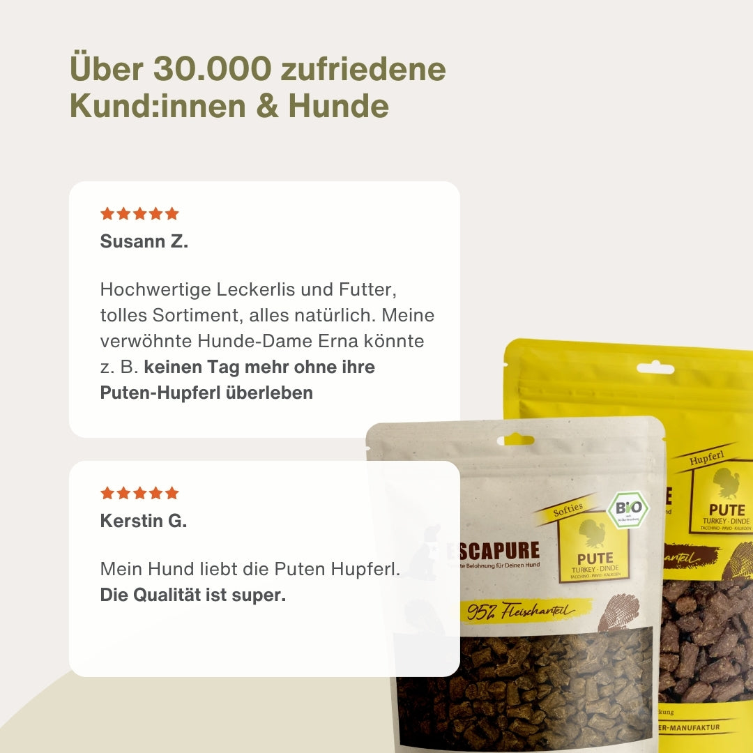 Dein Snack Testpaket