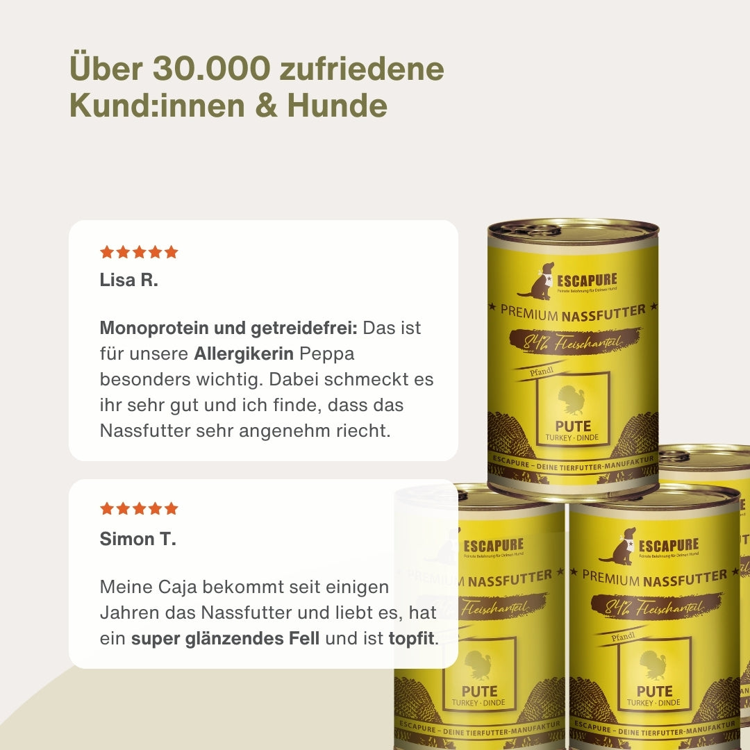 Testpaket Pute