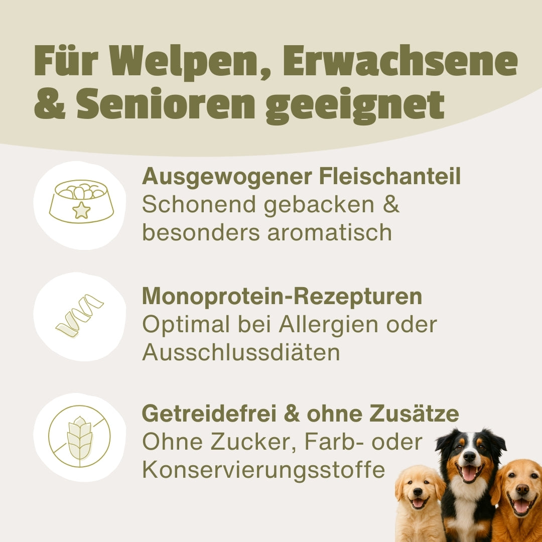 Dein Trockenfutter Testpaket