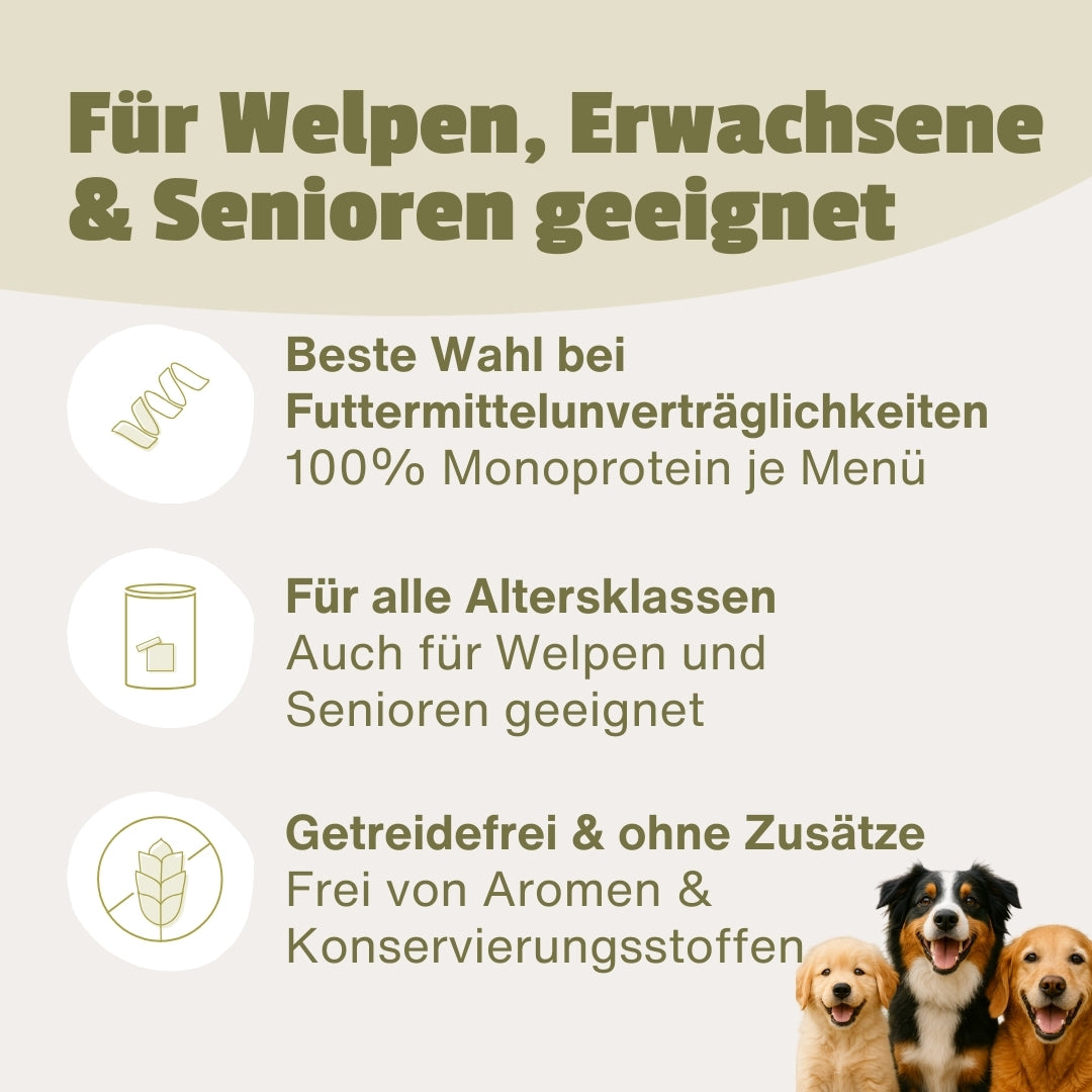 Dein Nassfutter Testpaket