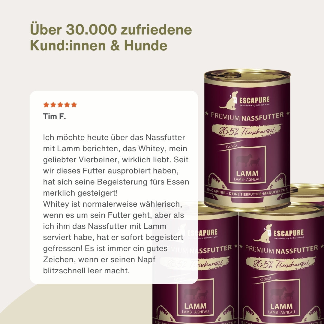 Dein Nassfutter Testpaket