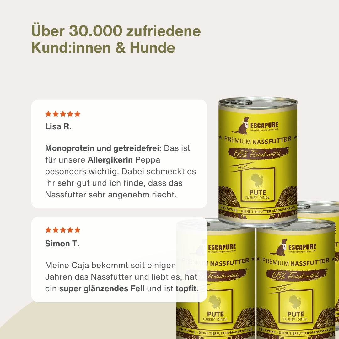 Dein Nassfutter Testpaket