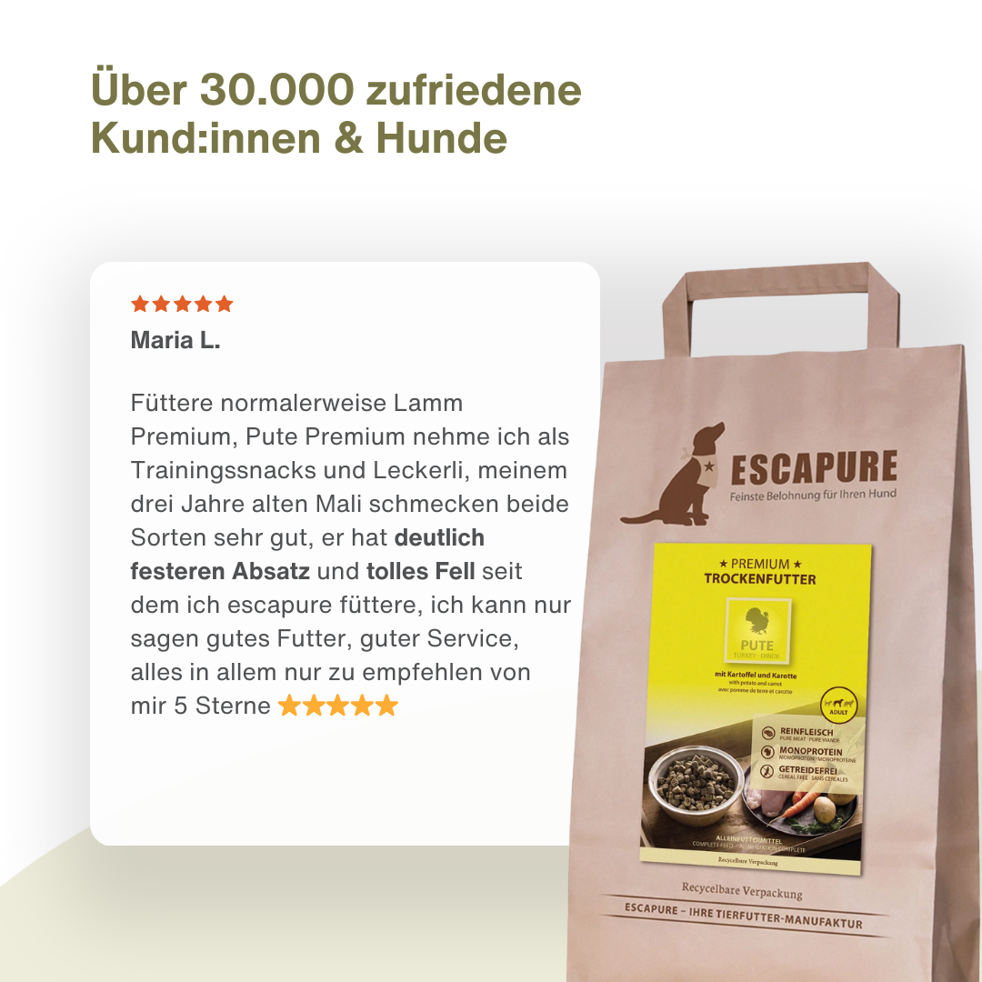 Dein Trockenfutter Testpaket