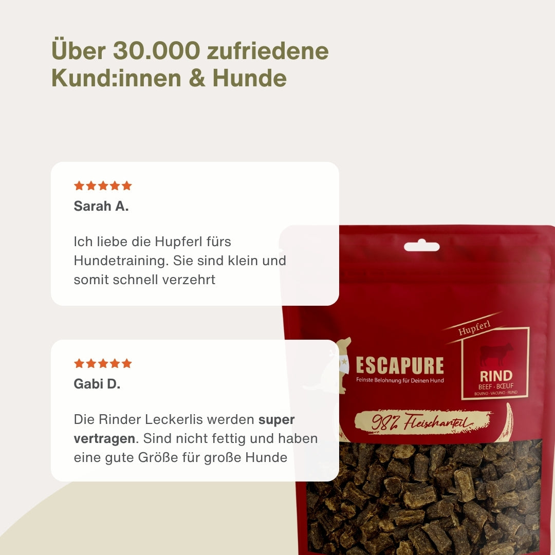 Testpaket Rind
