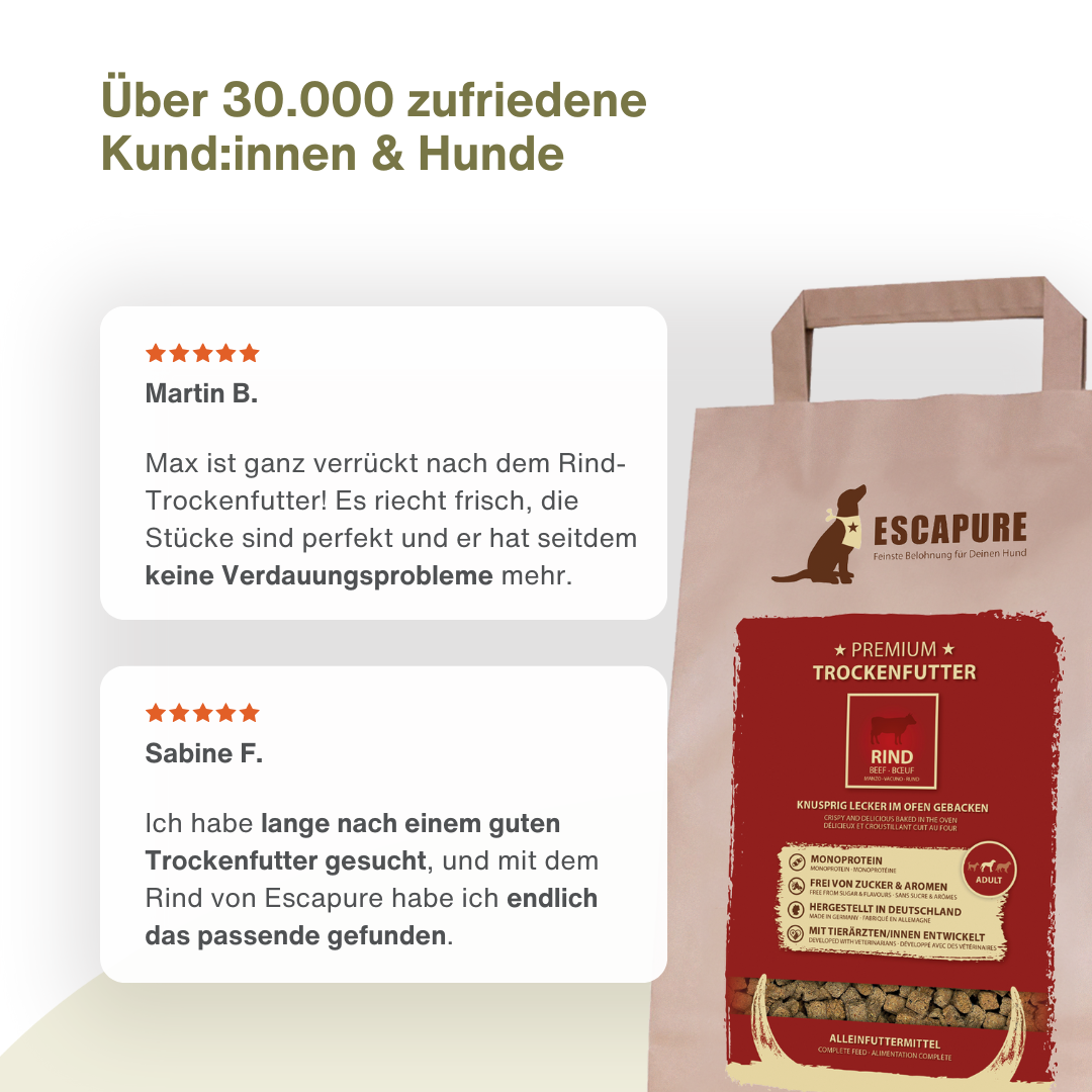 Dein Trockenfutter Testpaket