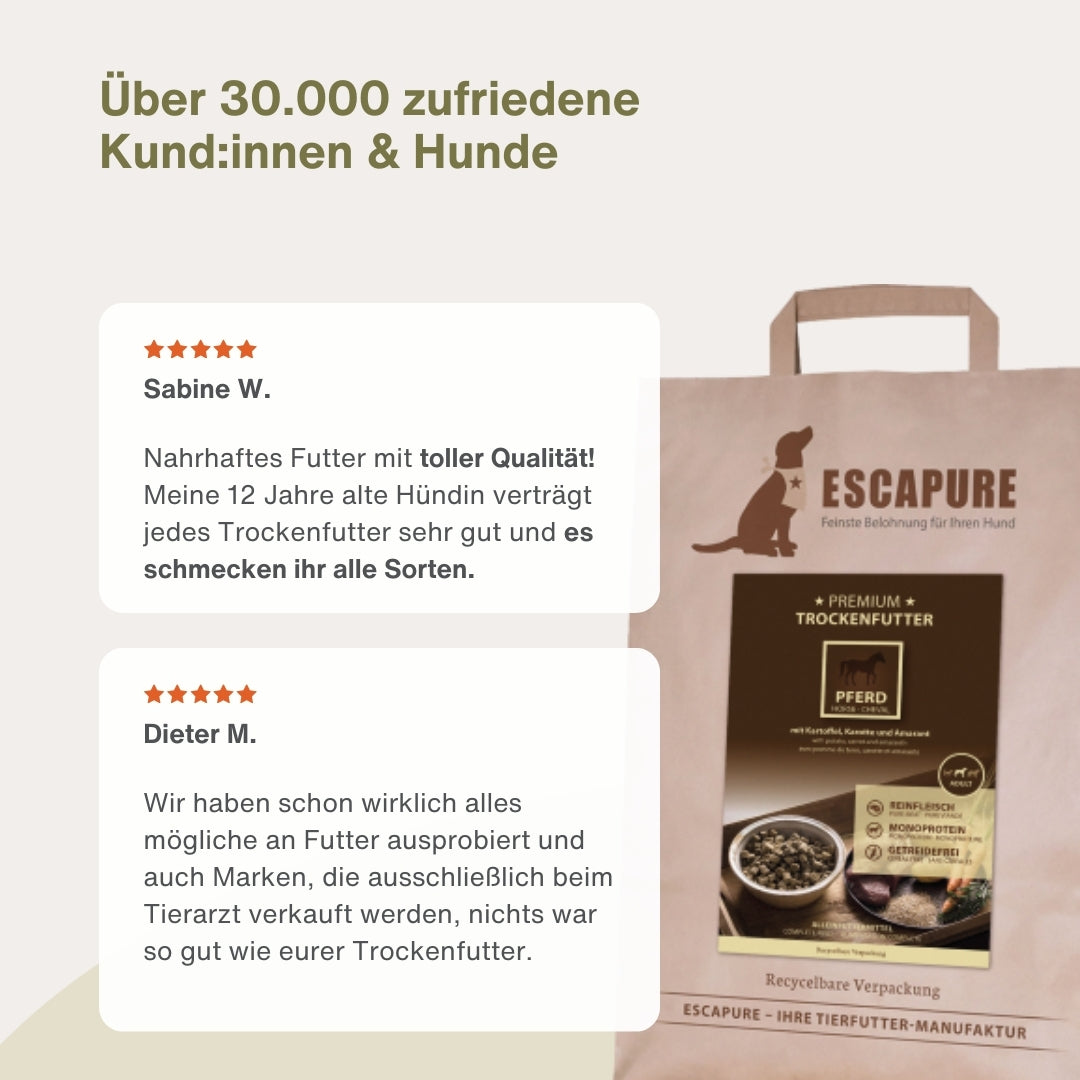 Bestseller Box für Hunde