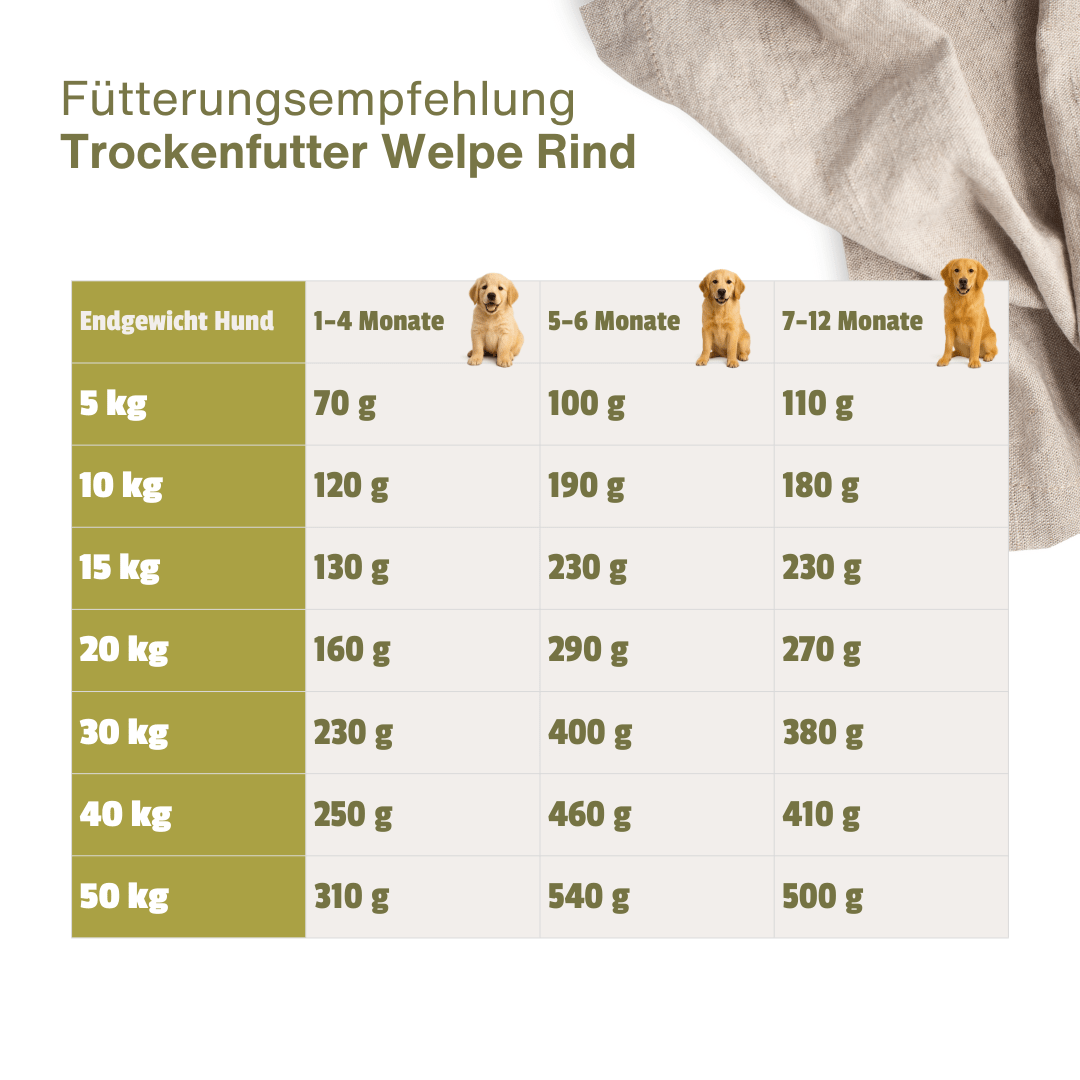 Welpe Rind Premium Trockenfutter