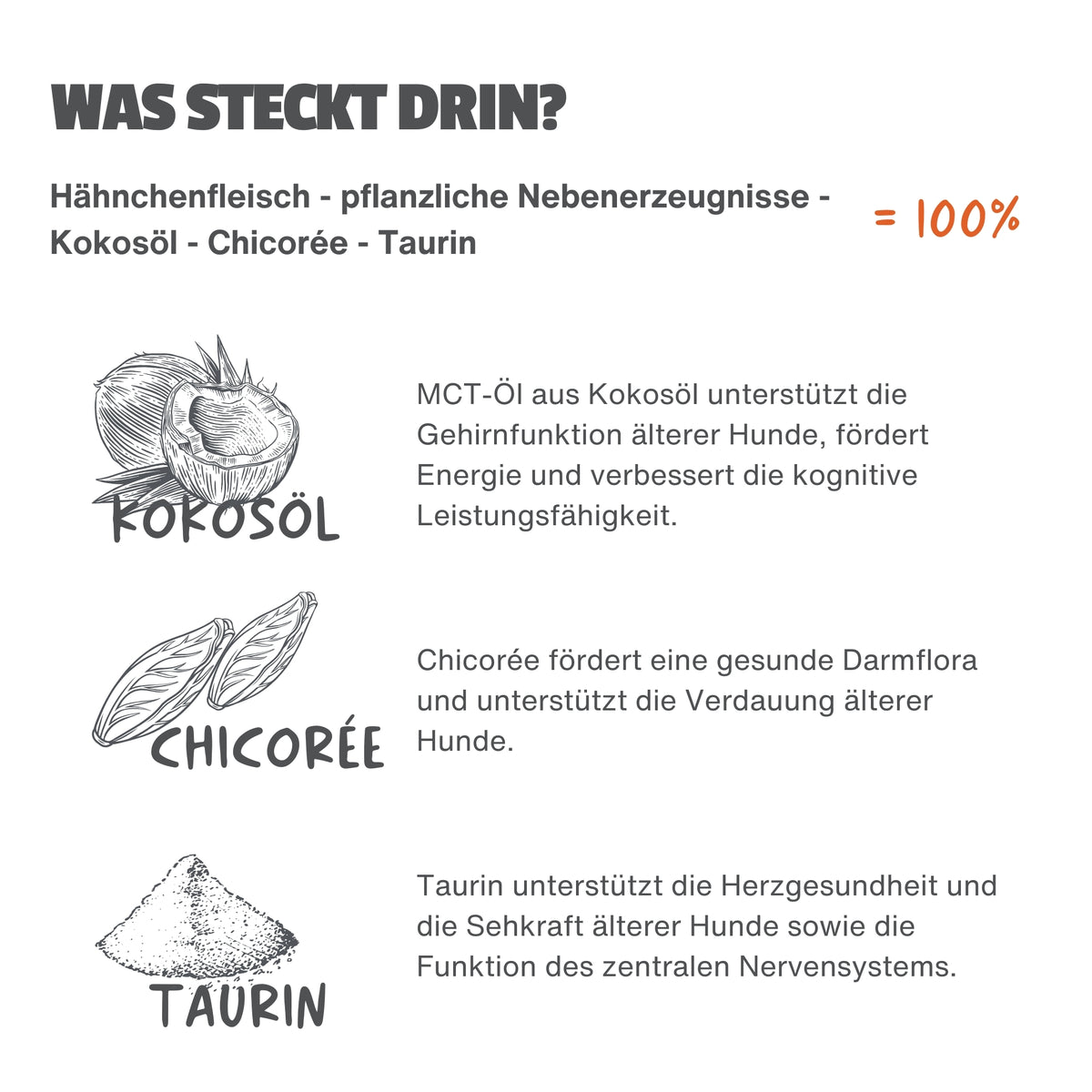 Jungbrunnen
