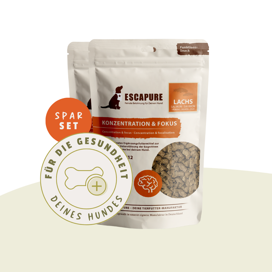 Konzentration & Fokus