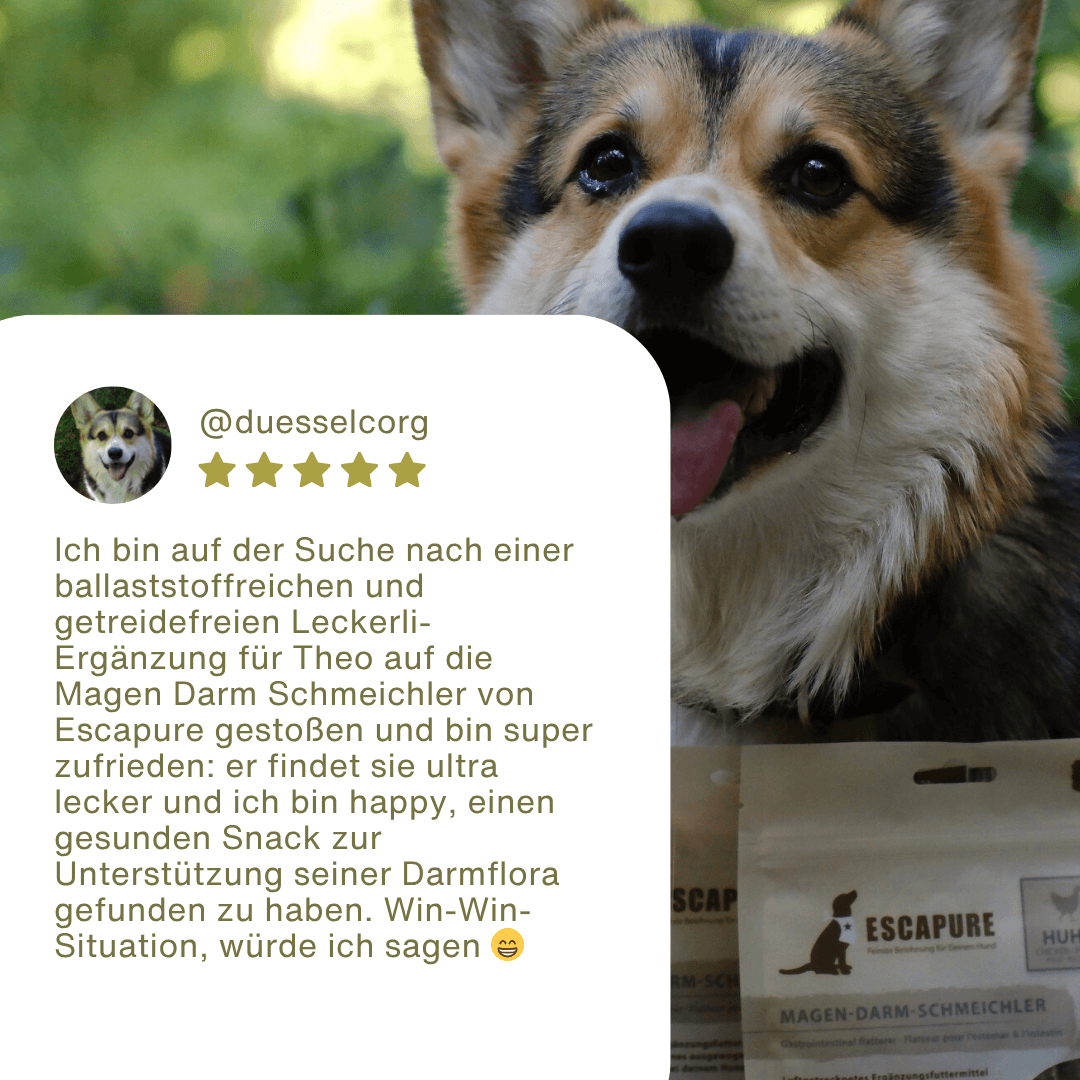 Magen Darm Schmeichler