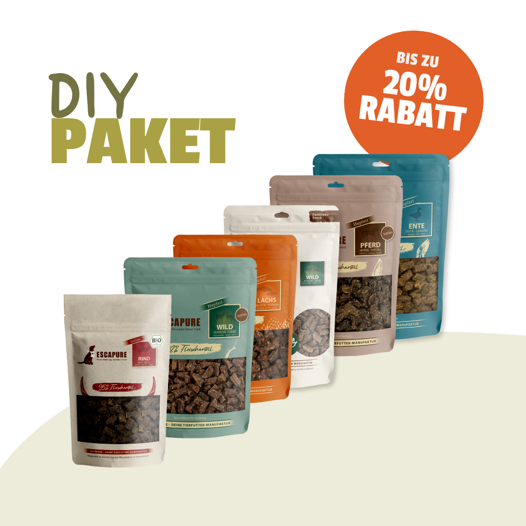 Dein Snack Testpaket