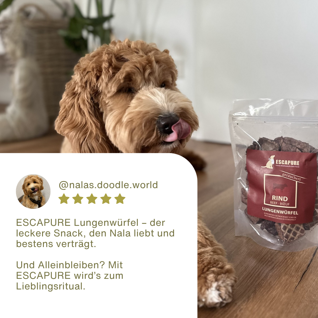 Rinder Lungen Würfel