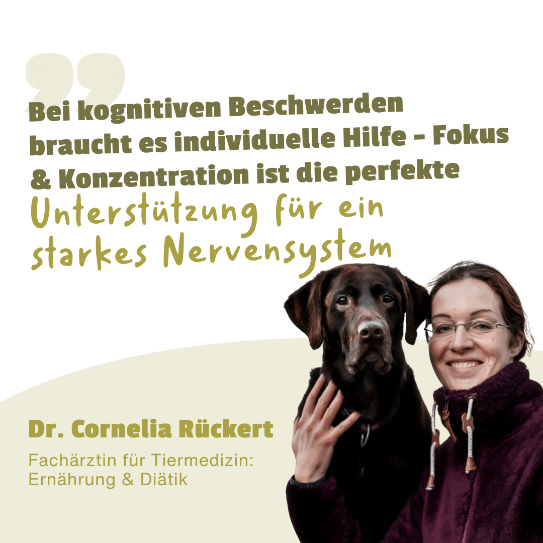 Konzentration & Fokus