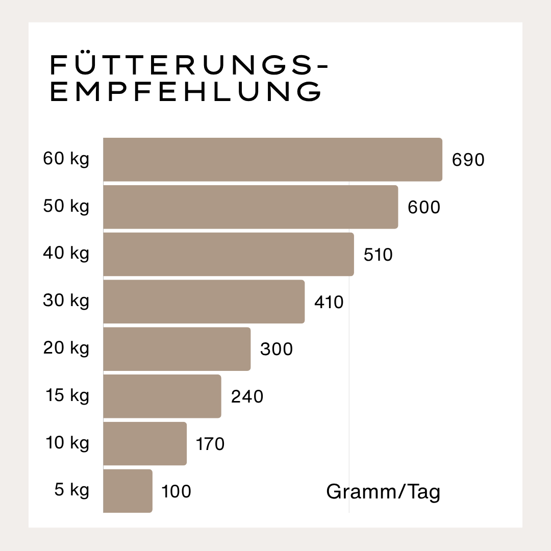 Superior Trockenfutter Lamm