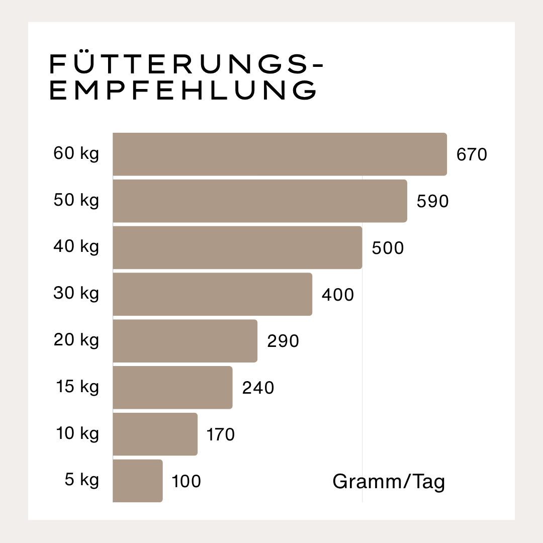 Superior Trockenfutter Rind