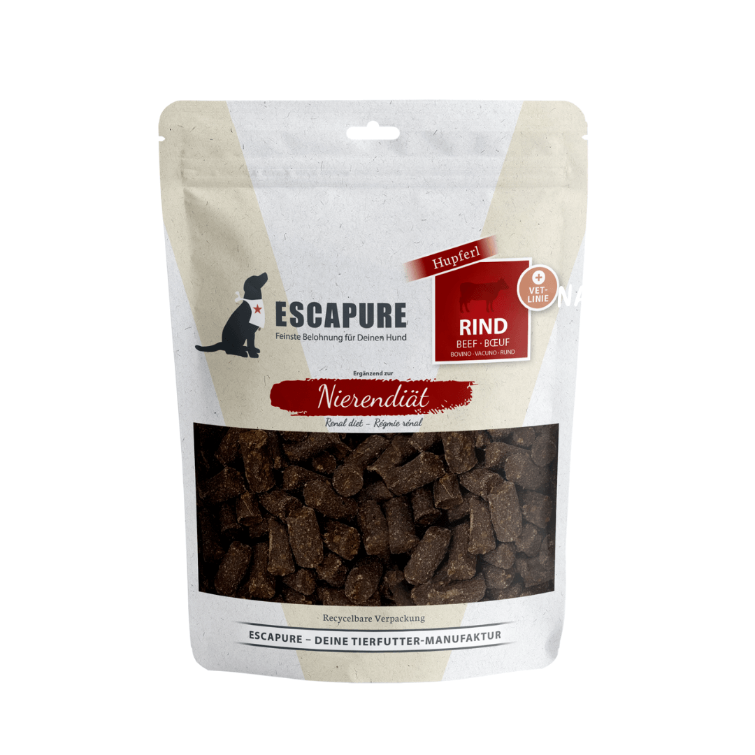 Willkommenspaket Nieren Diät