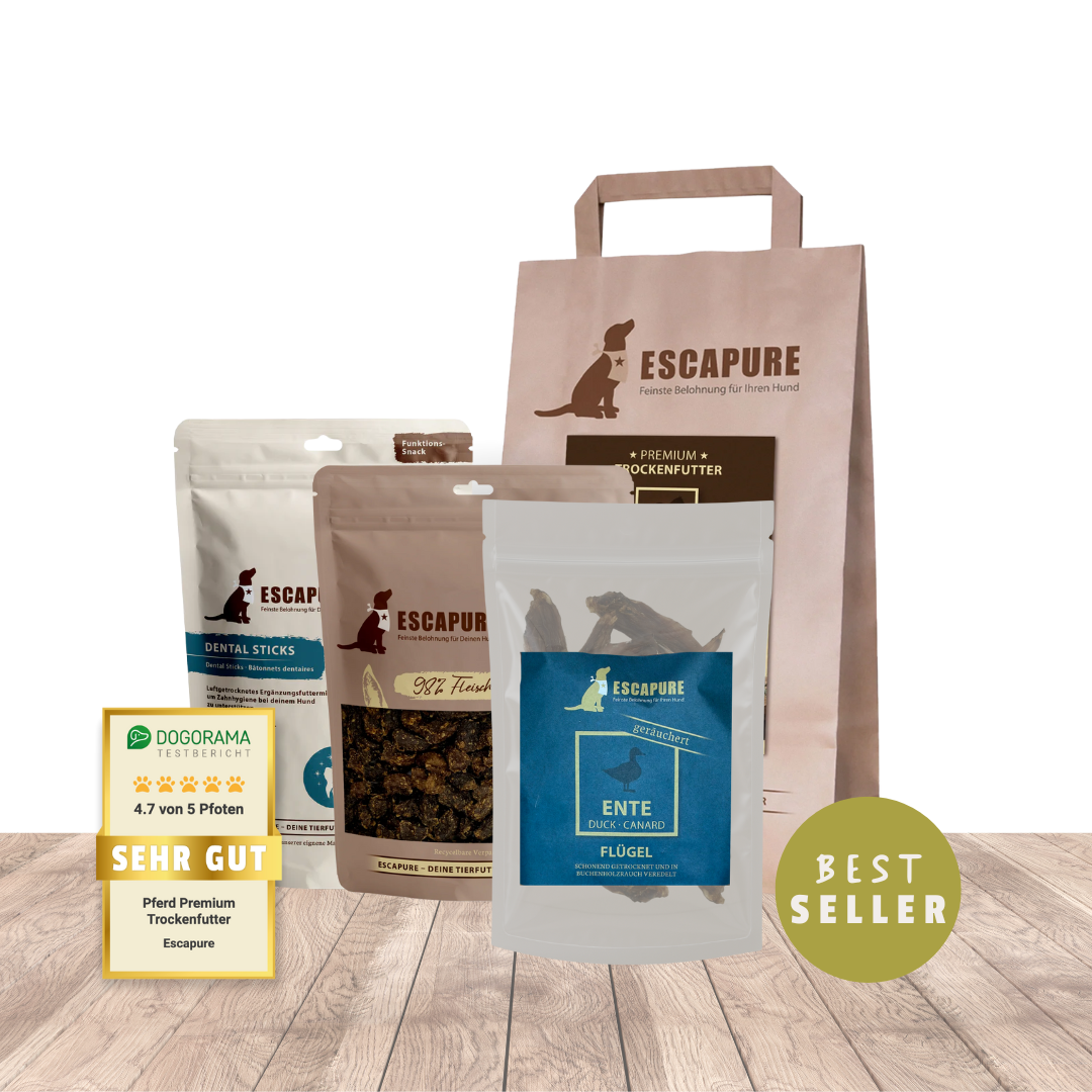 Bestseller Box für Hunde