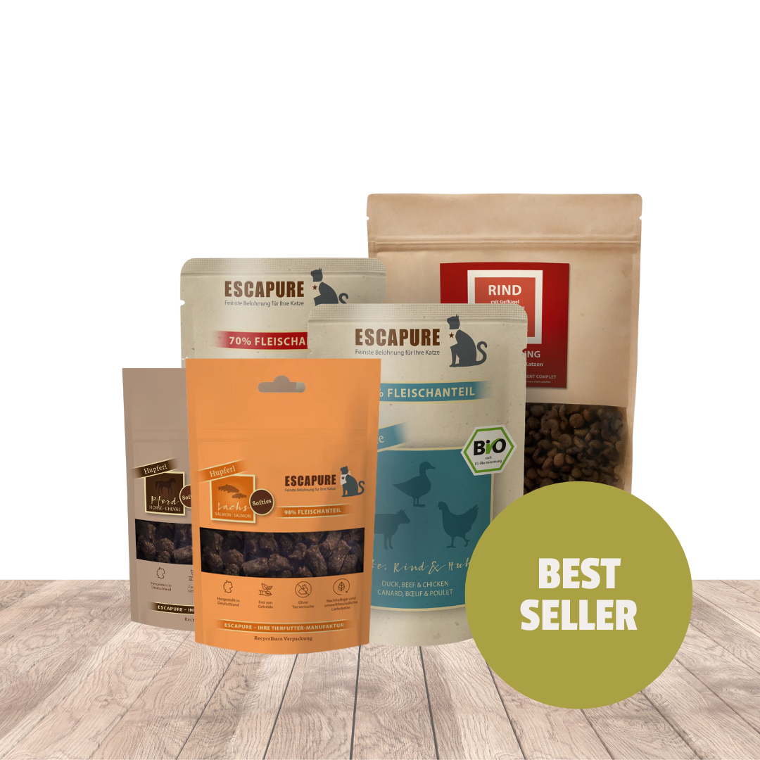 Bestseller Box für Katzen