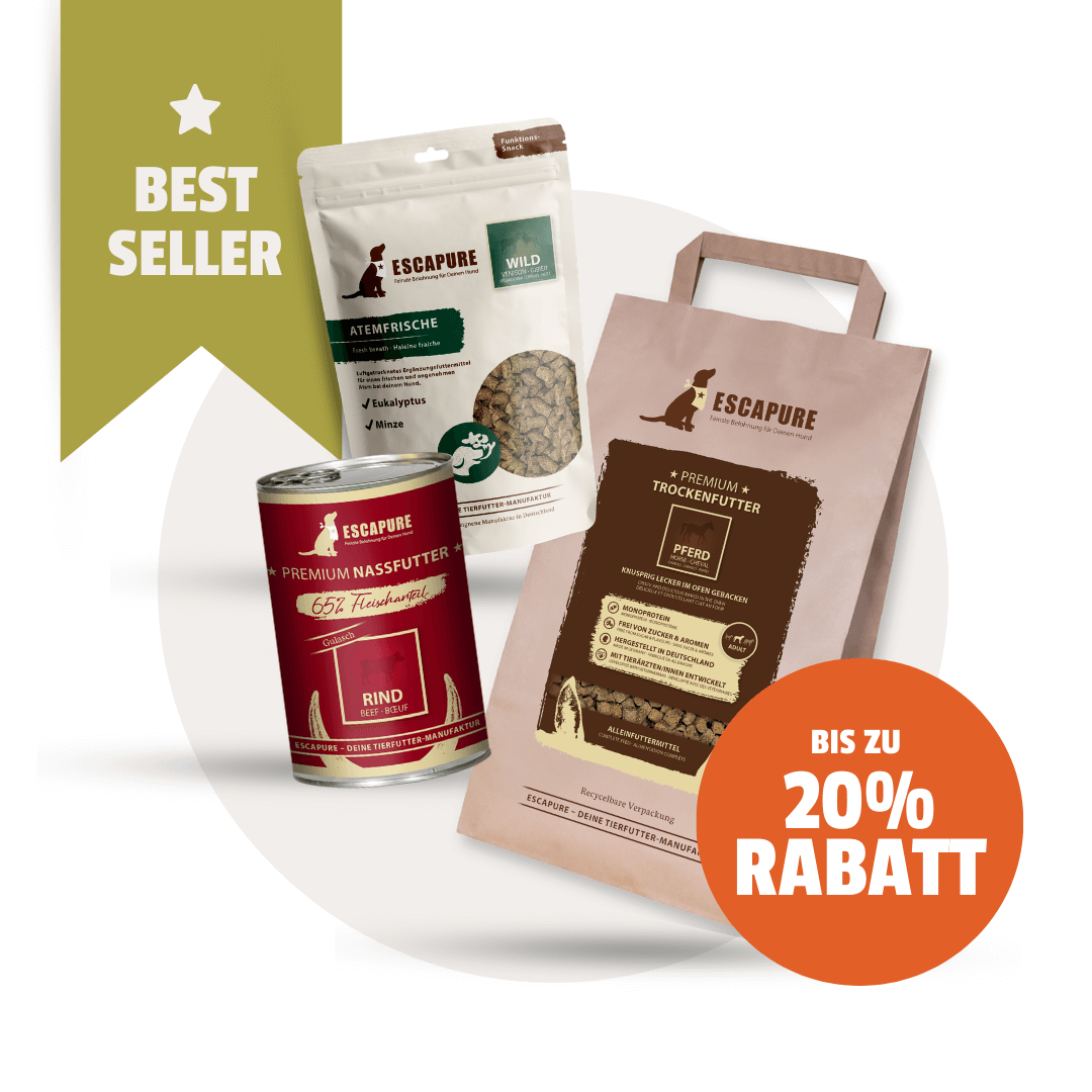 Bestseller Box