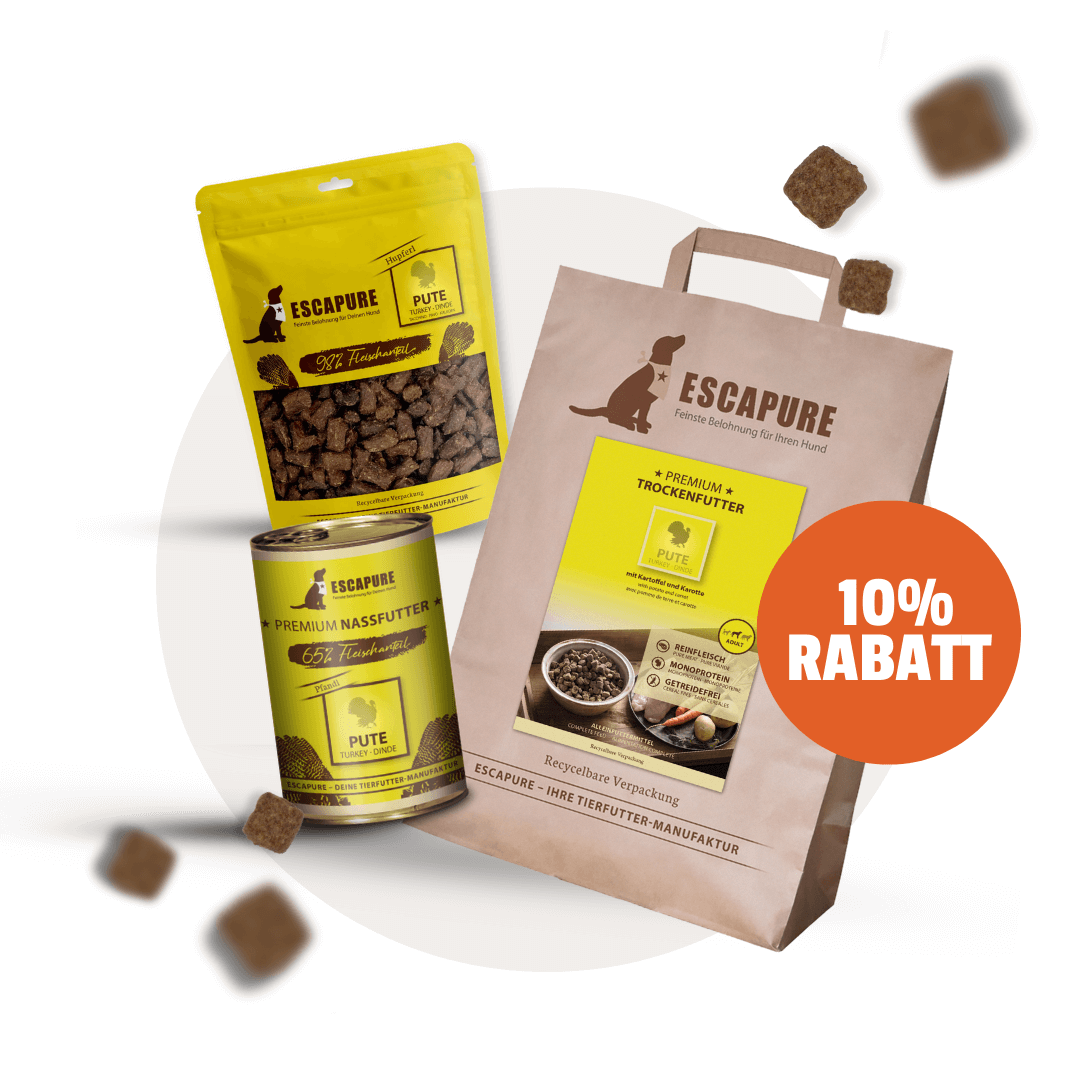 Testpaket Pute
