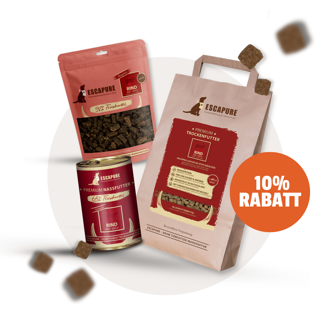 Testpaket Rind