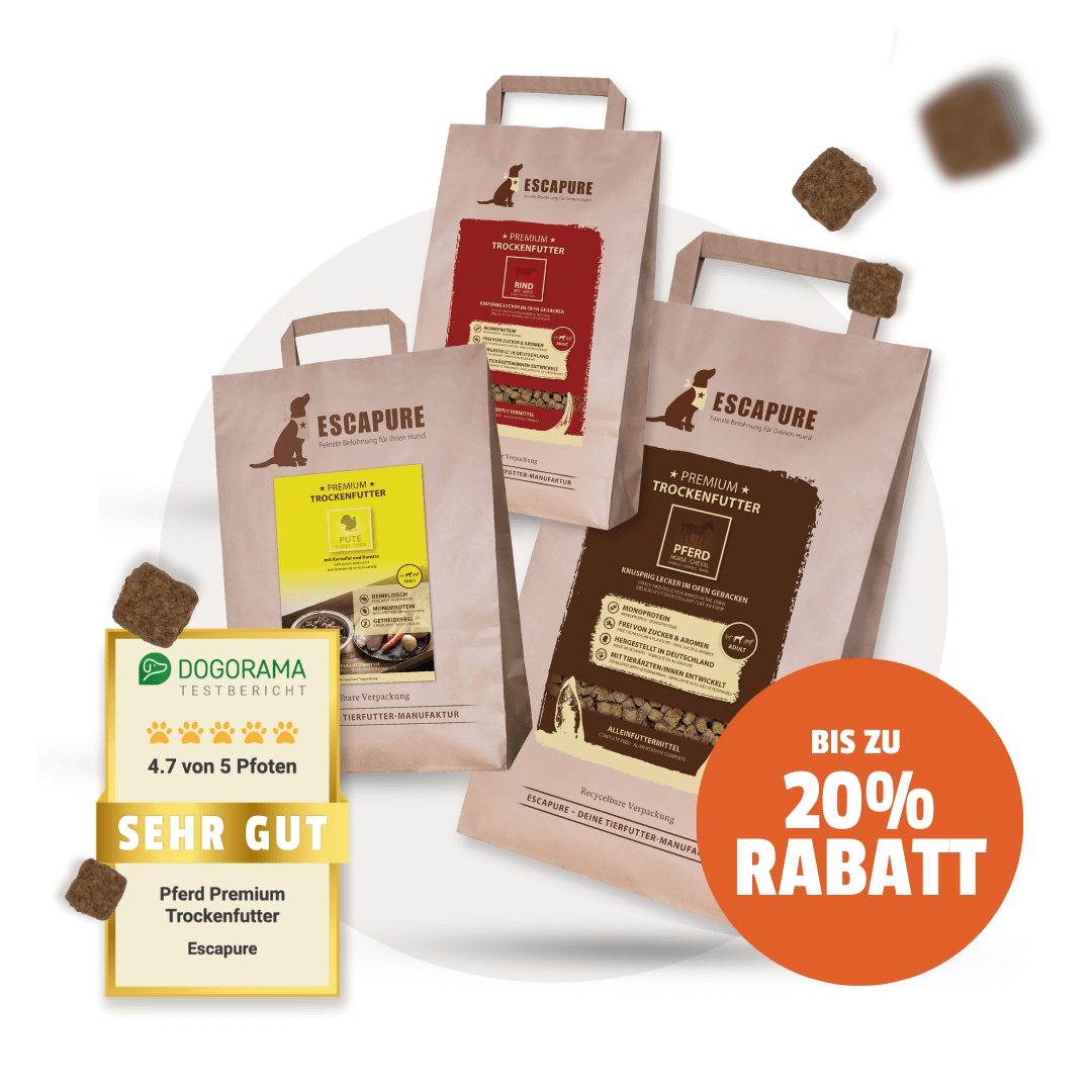 Dein Trockenfutter Testpaket