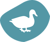 Ente badge
