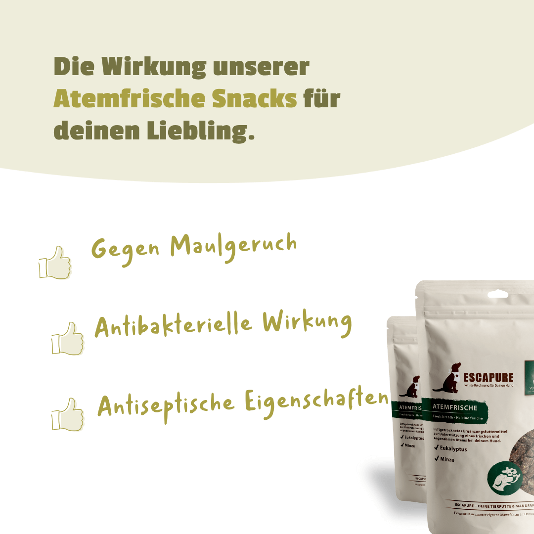 Atemfrische