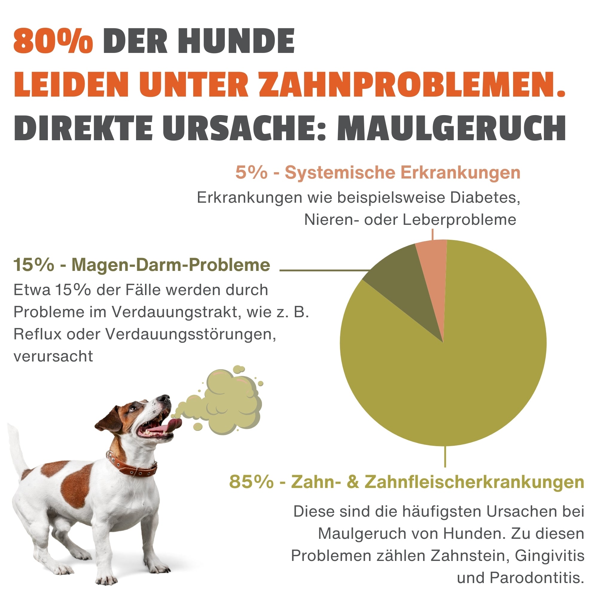 7-Tage Kur: Atemfrische