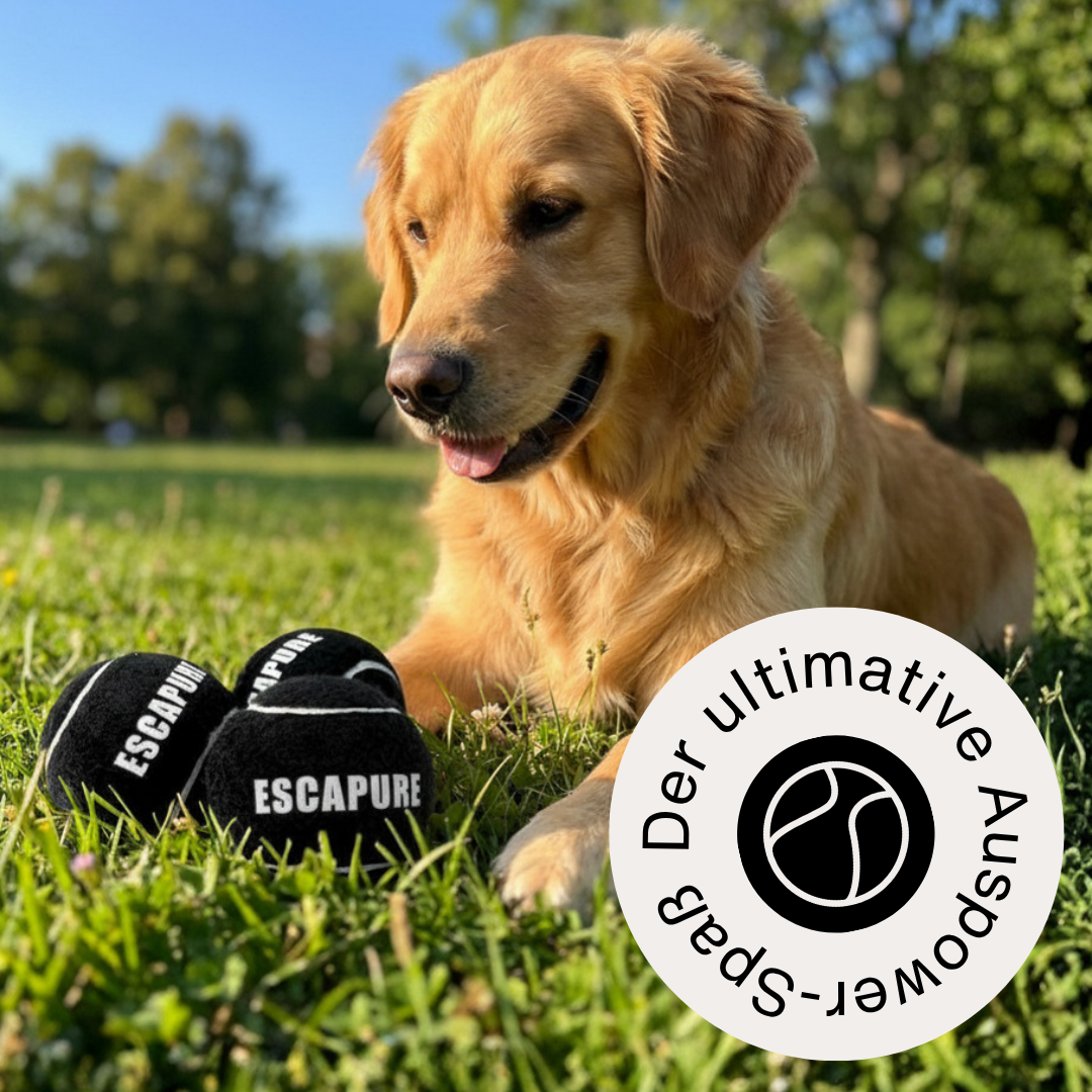 Tennisball