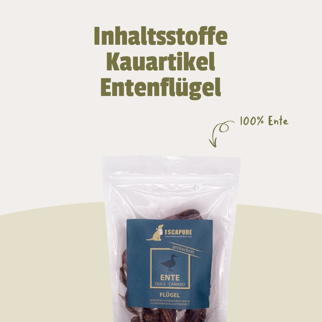 Bestseller Box für Hunde