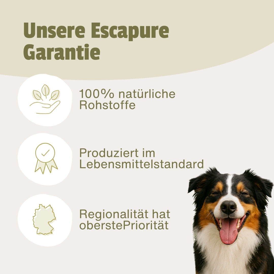 Testpaket Pferd