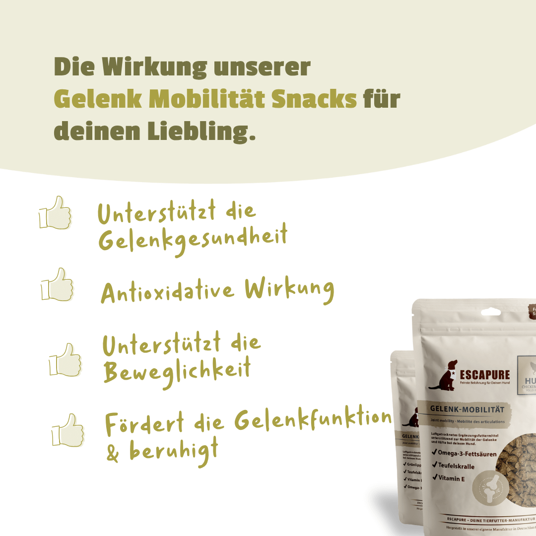 Gelenk Mobilität