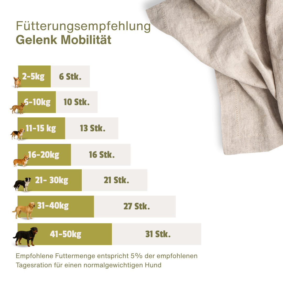 Gelenk Mobilität