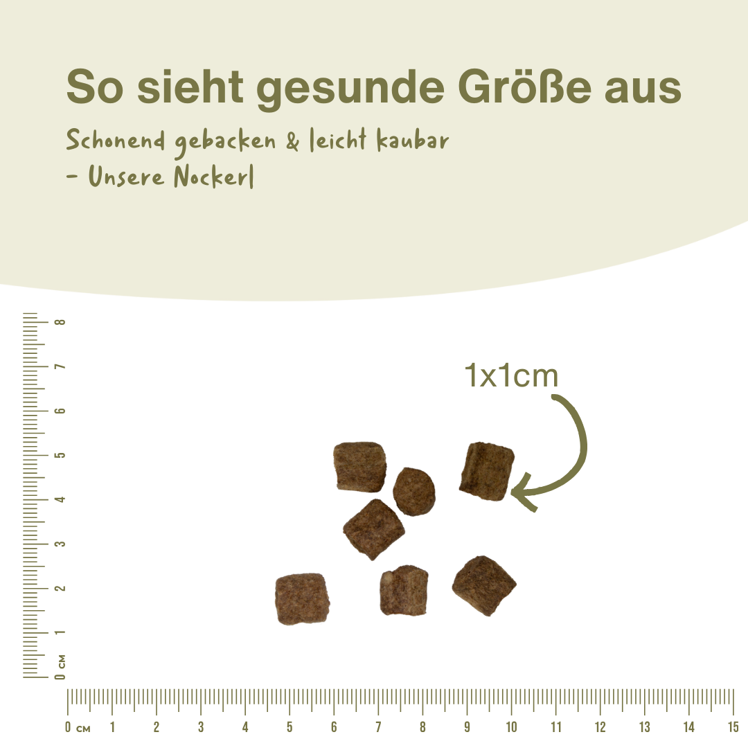 Pferde Snack