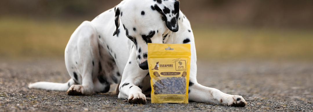 Bild: mehrere Sorten nebeneinander, Hund schnuppert an einer